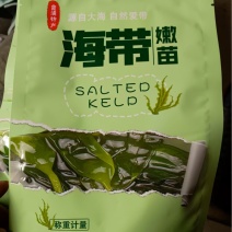 海带苗价格美丽一件起售量大从优欢迎咨询下单