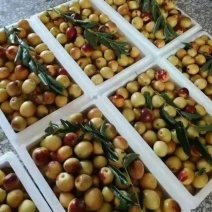 《大荔冬枣》陕西基地直发对接商超团购电商一条龙服务一件代
