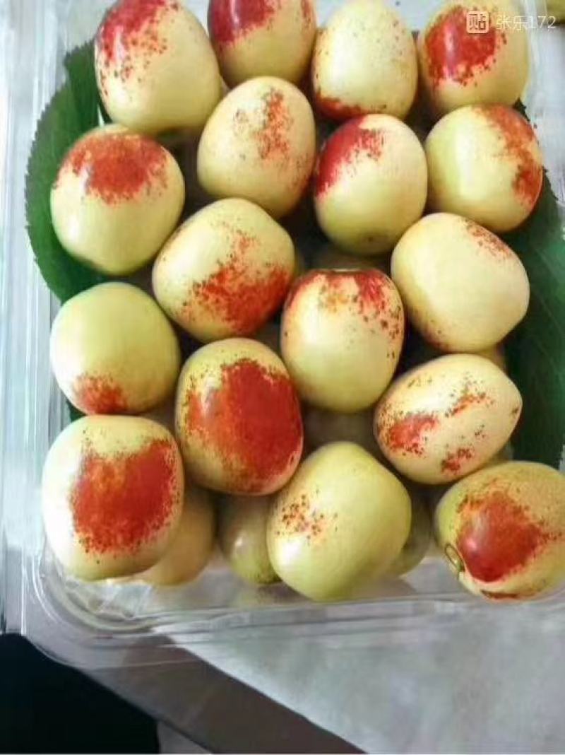 《大荔冬枣》陕西基地直发对接商超团购电商一条龙服务一件代