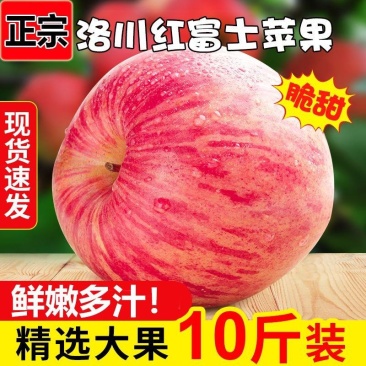 特级陕西洛川苹果脆甜正宗红富士苹果冰糖心新鲜苹果水果整箱