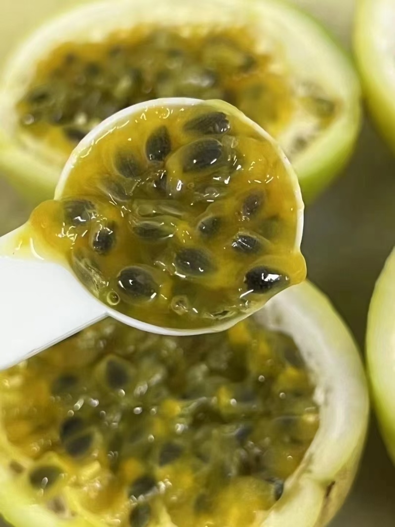 钦蜜9号百香果