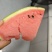7月1日宁河小海北西瓜甜霸王9成熟1茬猛虎