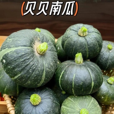 出口精品贝贝瓜