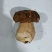 来自深山的黄金诱惑!美味鸡油菌,各类野生菌冻货……