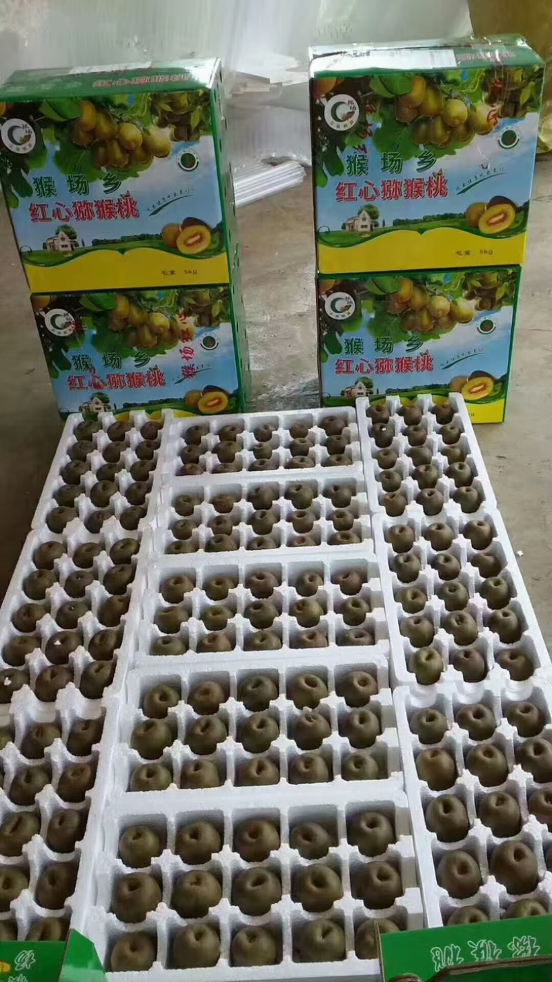 贵州正宗红心猕猴桃新品猕猴桃水果自然成熟
