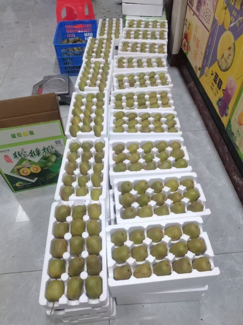 贵州正宗红心猕猴桃新品猕猴桃水果自然成熟