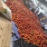 【推荐】金铭油桃黄心果肉油桃山东油桃中油金铭硬度高