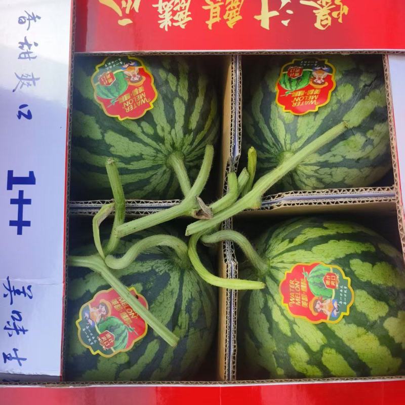 陕甘宁精品无籽美，只做精品。