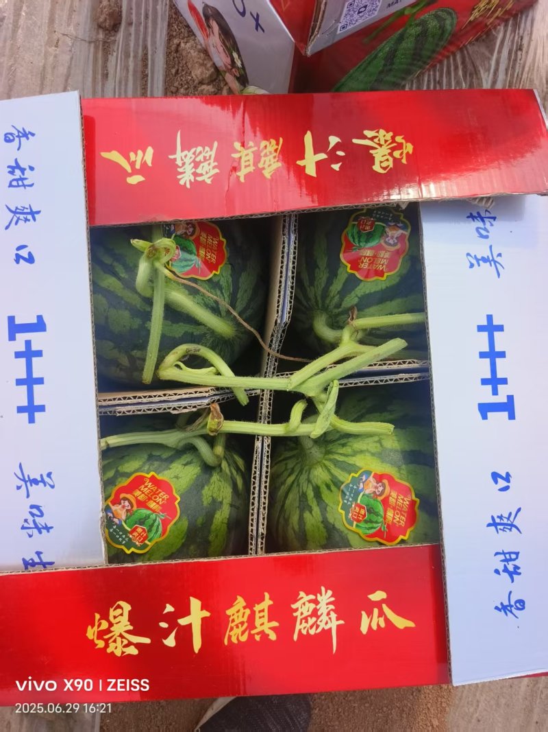 陕甘宁精品无籽美，只做精品。