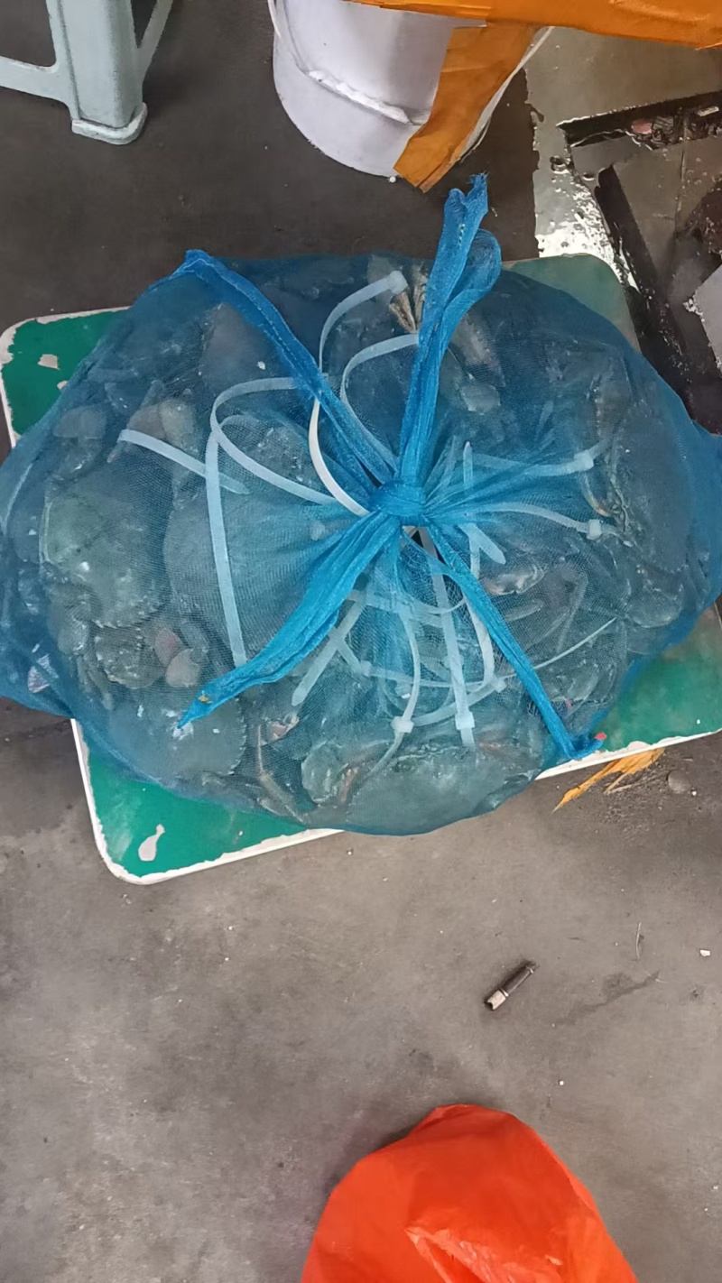 正宗的三门青蟹，农户直销，水产螃蟹类青蟹，诚信经营