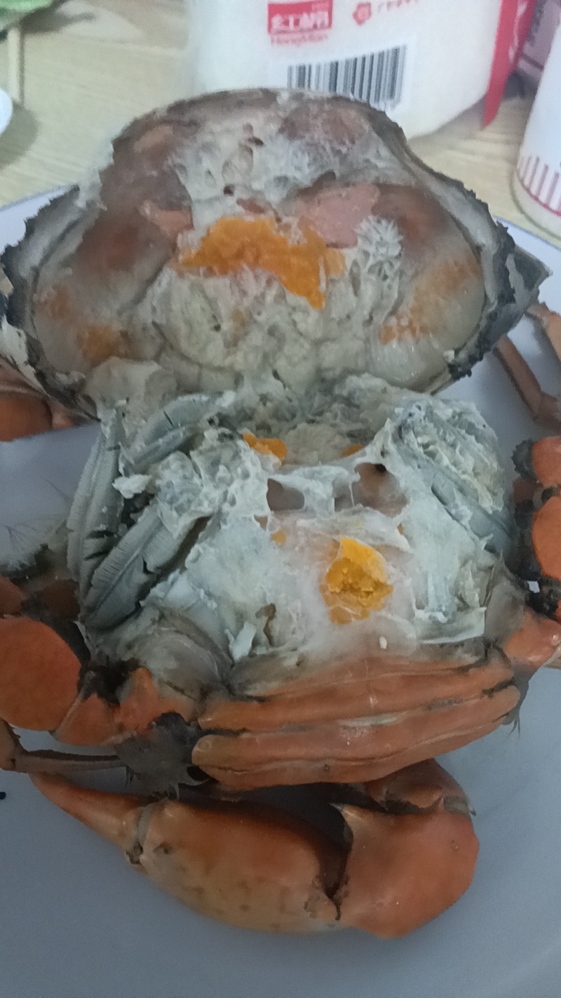 正宗的三门青蟹，农户直销，水产螃蟹类青蟹，诚信经营