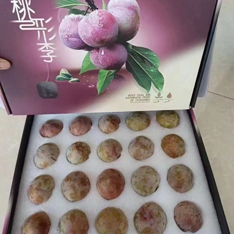 嵊州羲之桃形李李子7月的紫色的诱惑，不容错过
