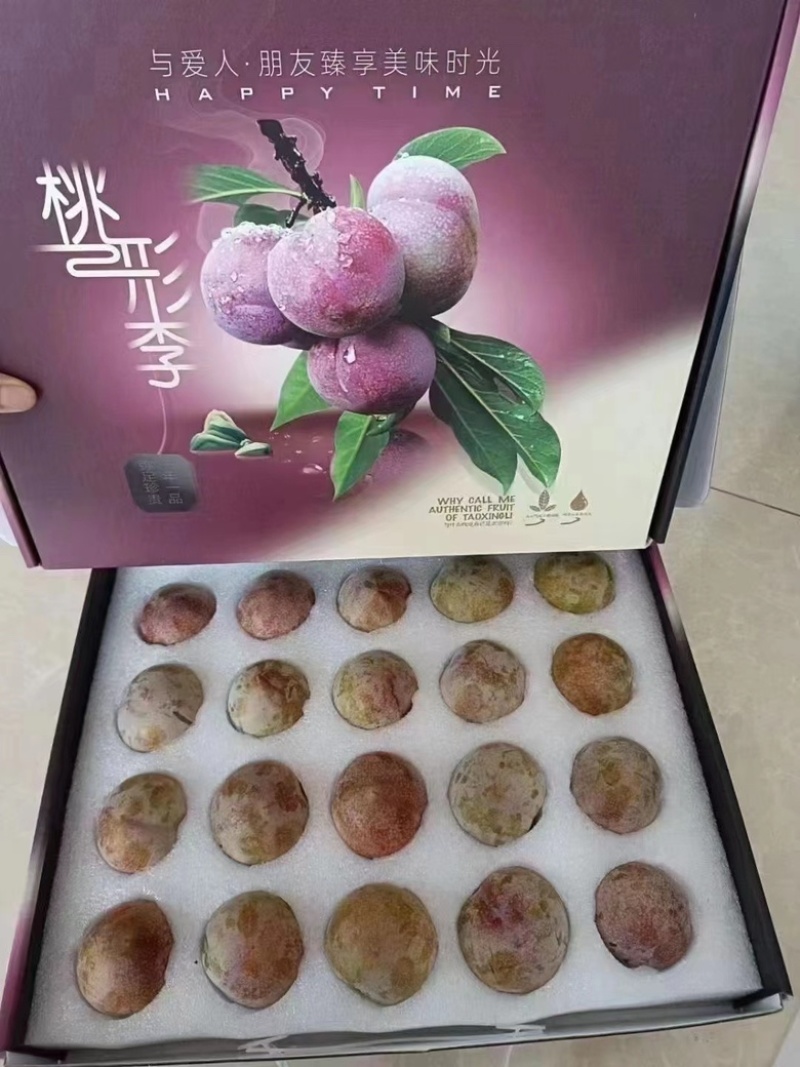 嵊州羲之桃形李李子7月的紫色的诱惑，不容错过
