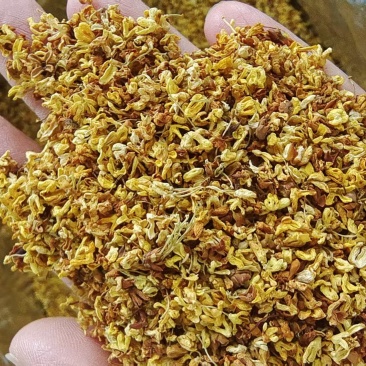桂花泡水中药材选货1斤包邮量大优惠