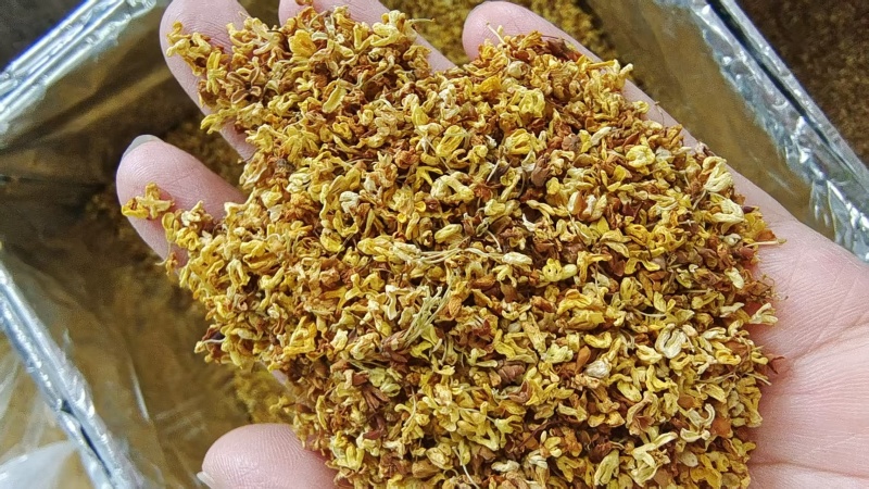桂花泡水中药材选货1斤包邮量大优惠