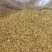 桂花泡水中药材选货1斤包邮量大优惠