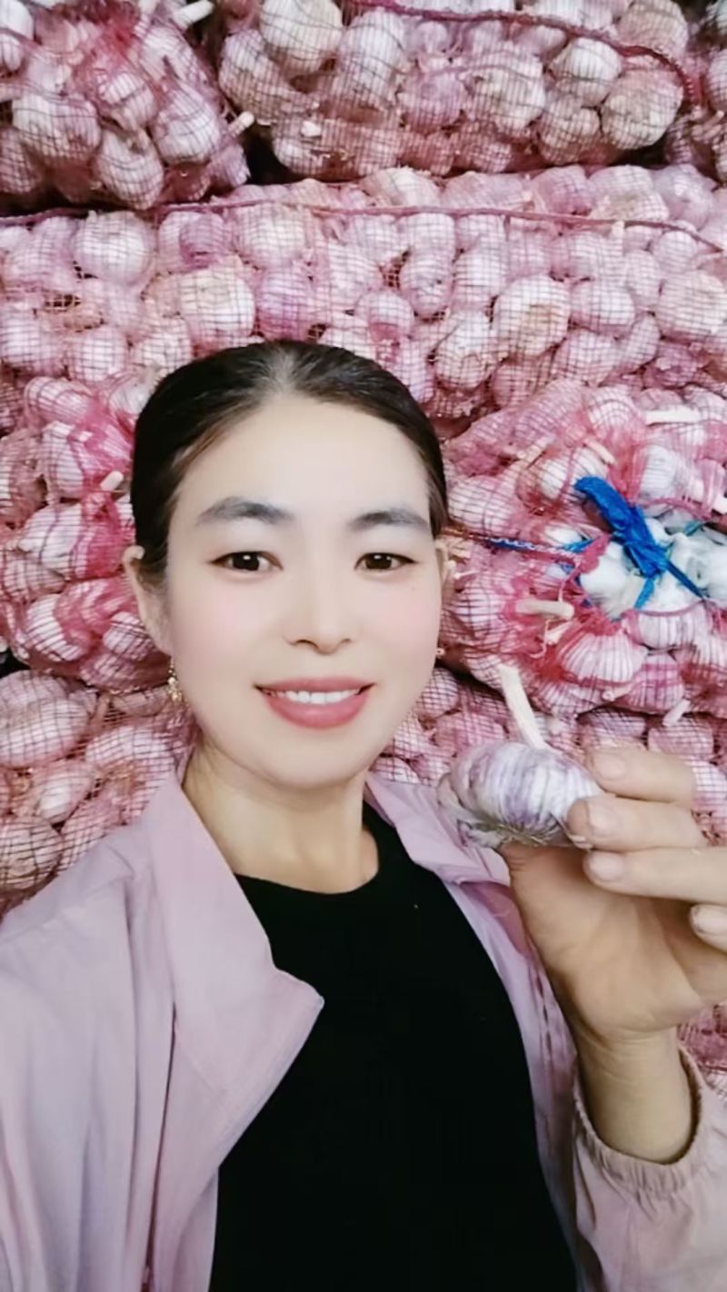 金乡大蒜紫皮大蒜，电商货市场货都有！