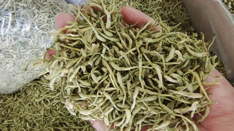 金银花头茬选货泡茶1斤包邮
