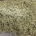 金银花头茬选货泡茶1斤包邮