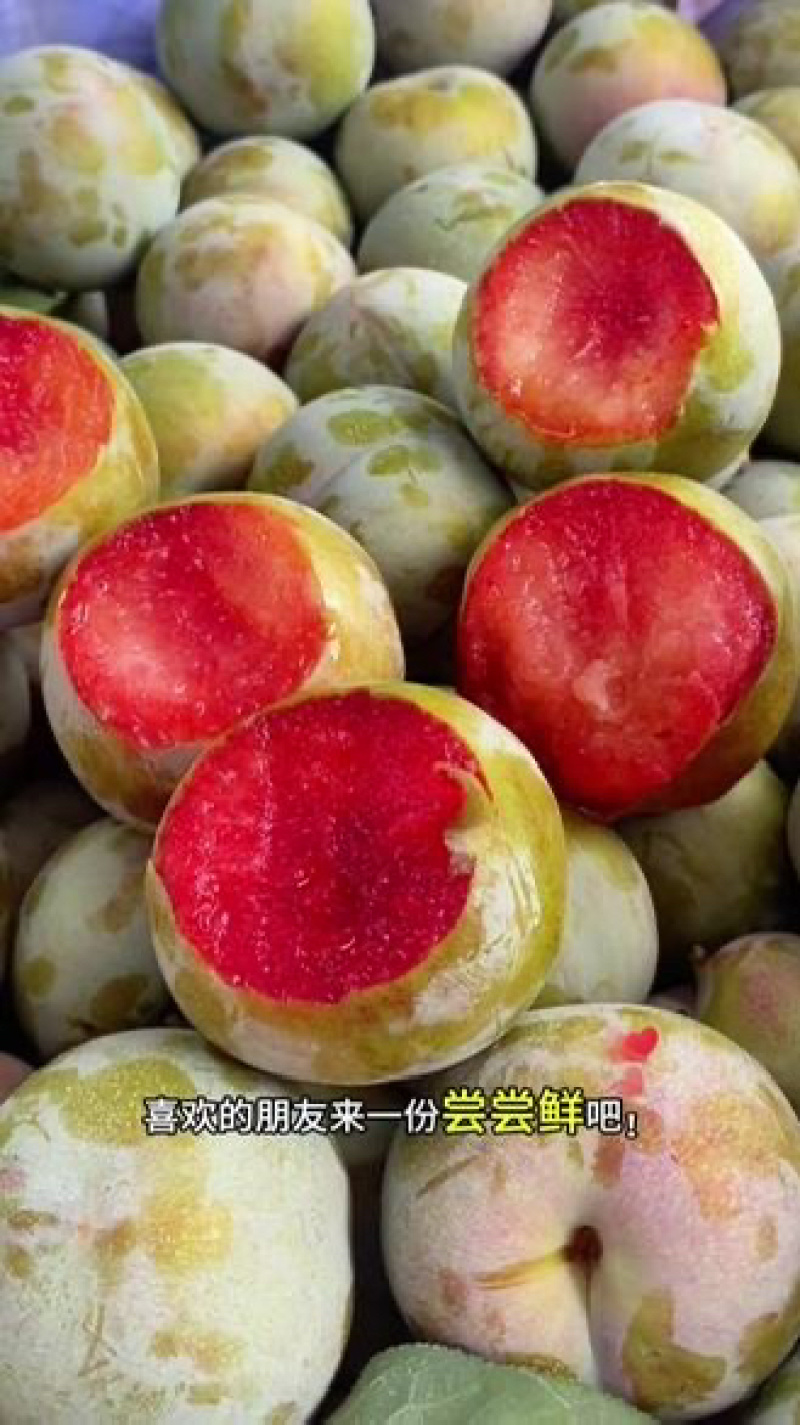 2025年正宗新鲜味帝李子恐龙蛋现摘红心李当季酸甜脆嫩计