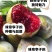 2025年正宗新鲜味帝李子恐龙蛋现摘红心李当季酸甜脆嫩计