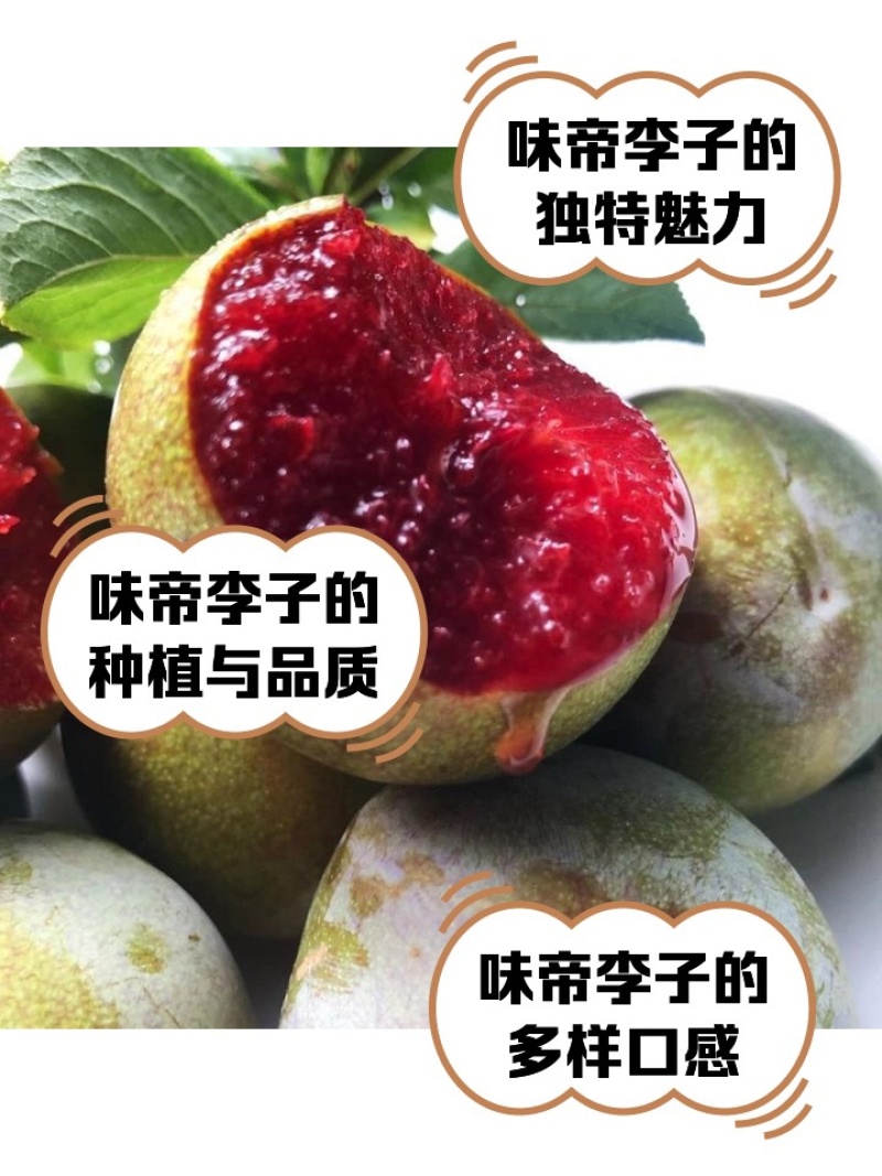 2025年正宗新鲜味帝李子恐龙蛋现摘红心李当季酸甜脆嫩计