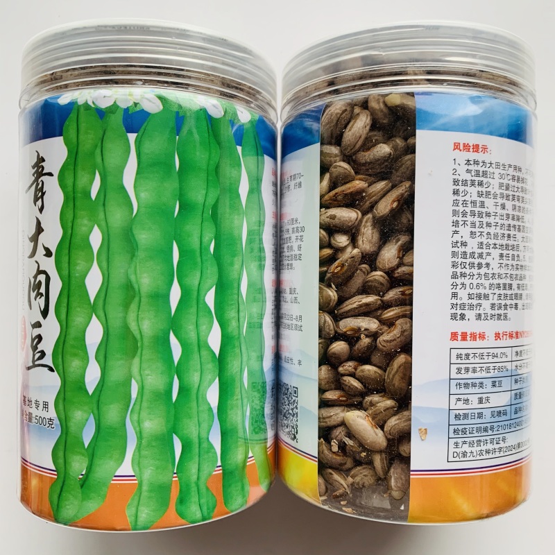 基地专用青大肉豆种子高产南方春秋架豆种子实心少筋肉鼓豆