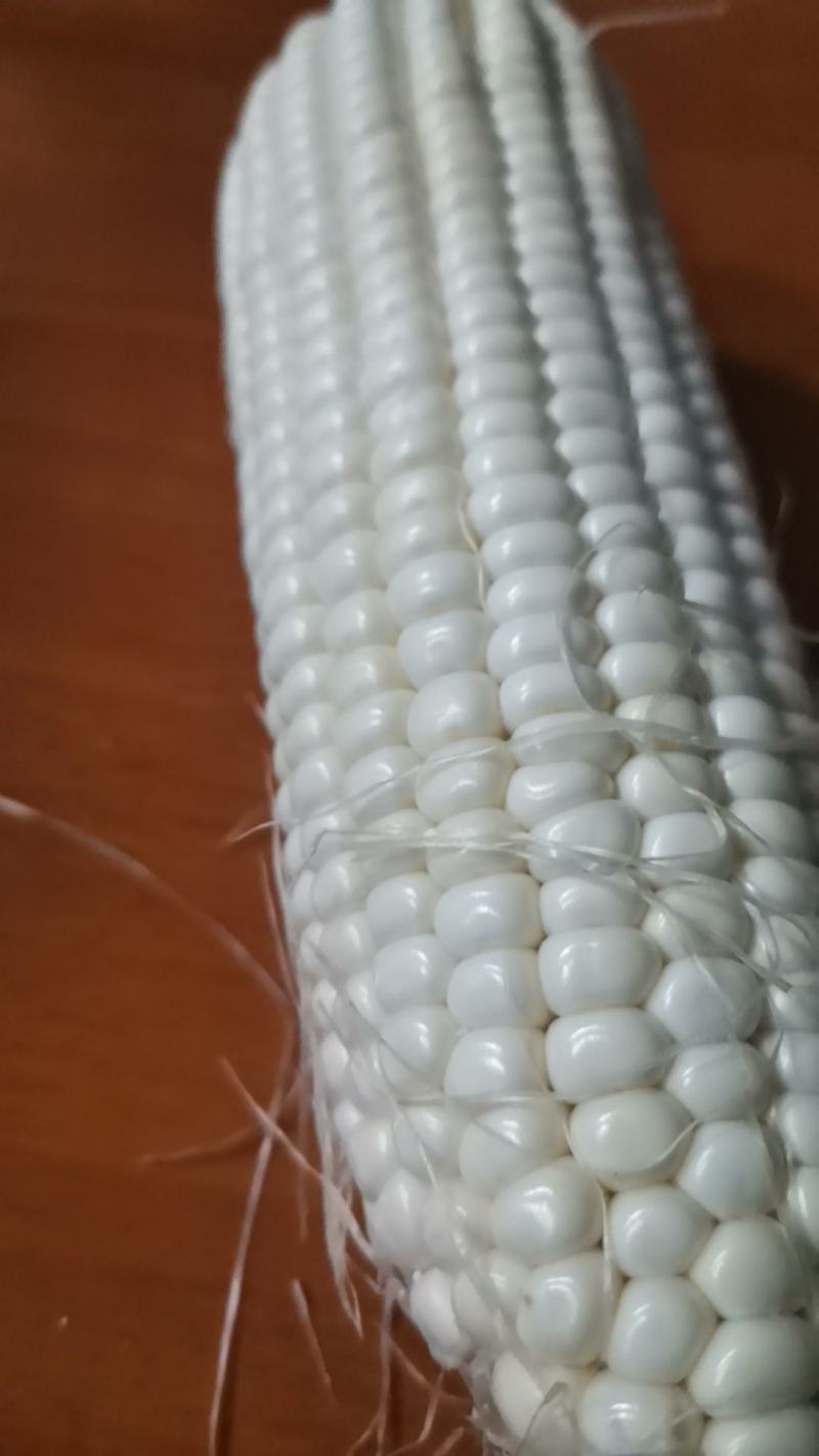万糯2000精品白甜糯玉米商超品质对接电商一件代