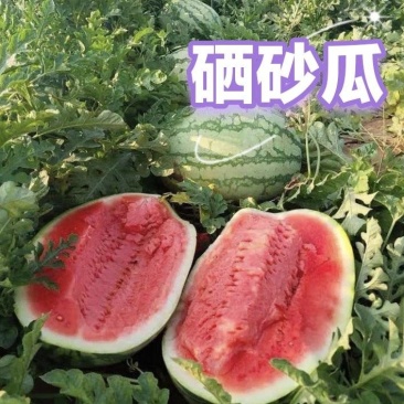宁夏硒砂瓜，石头瓜，各种规格，各种价格都有，欢迎联系发货