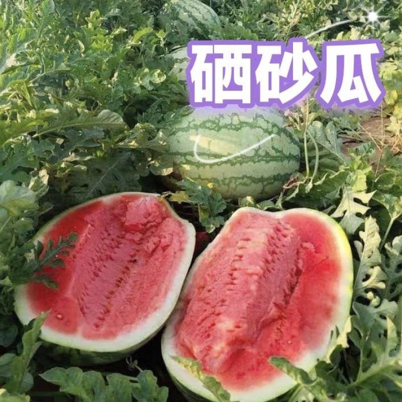 宁夏硒砂瓜，石头瓜，各种规格，各种价格都有，欢迎联系发货