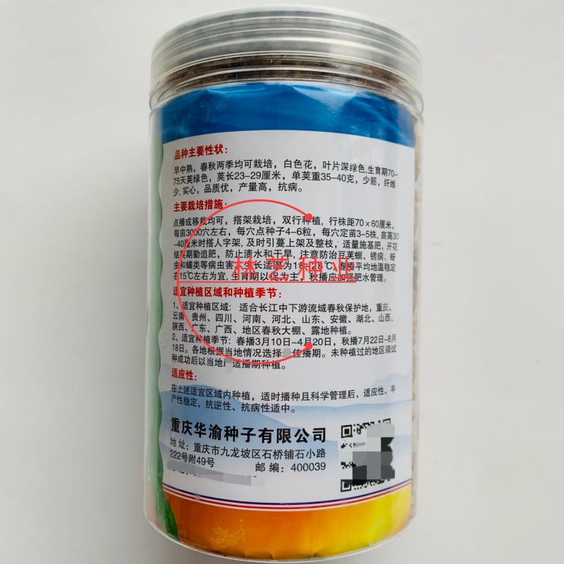 青大肉豆架豆种子白花绿荚架豆种子少筋纤维少实心架豆种子