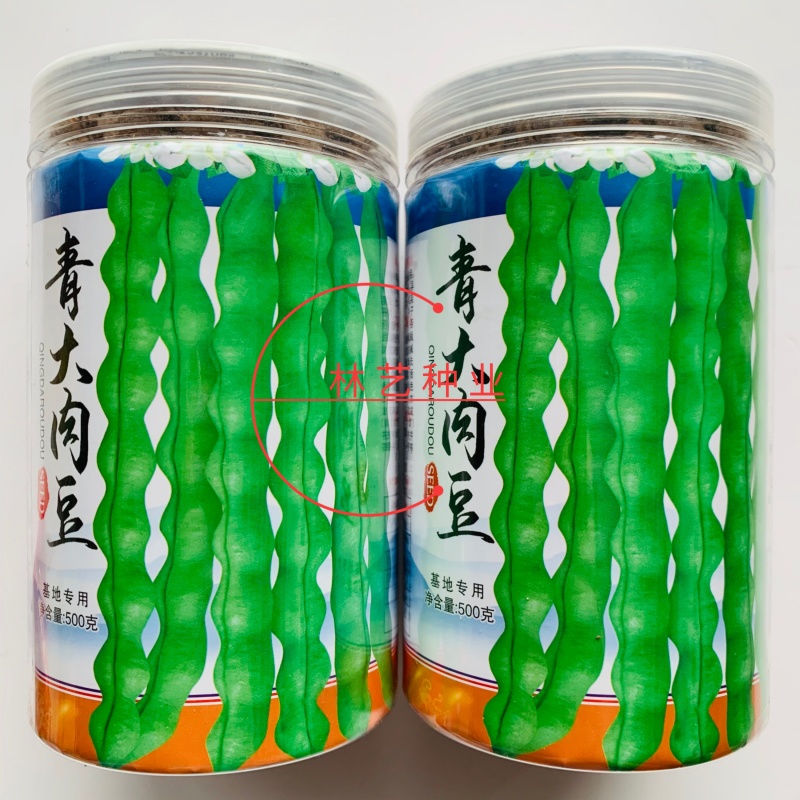 青大肉豆架豆种子白花绿荚架豆种子少筋纤维少实心架豆种子