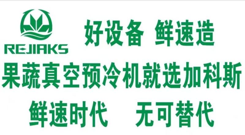 全芯一代果蔬真空预冷机娃娃菜茼蒿上海青预冷可按需订制