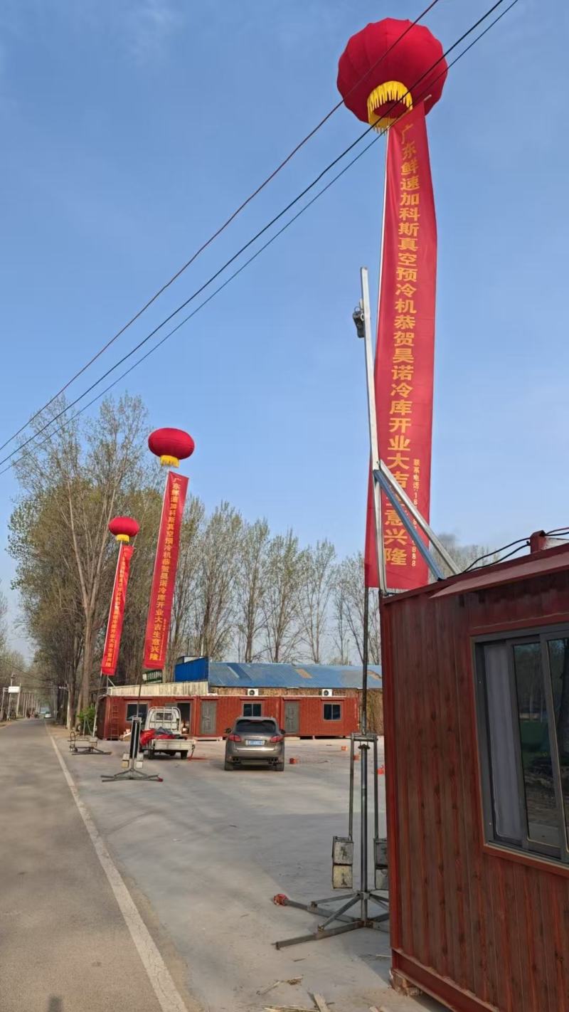 全芯一代果蔬真空预冷机娃娃菜茼蒿上海青预冷可按需订制