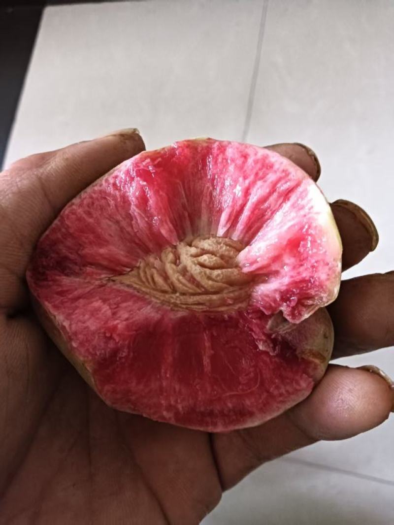 贵州高山露天老树桃，红不软桃，口感脆甜。