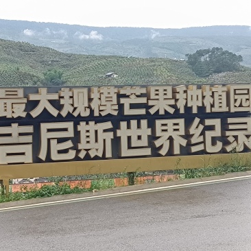 产地代办