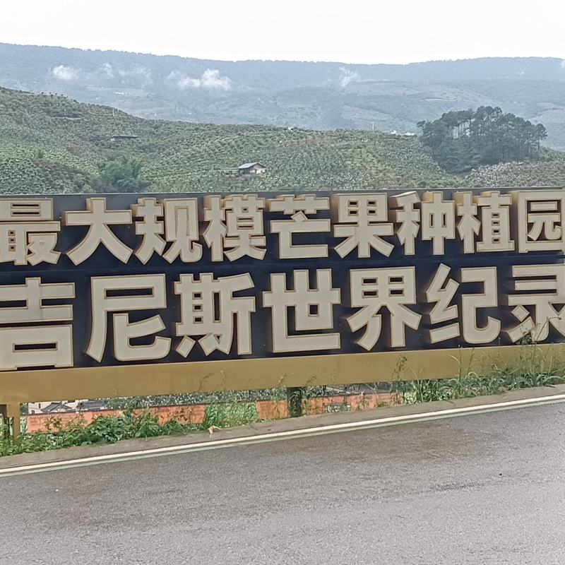 产地代办