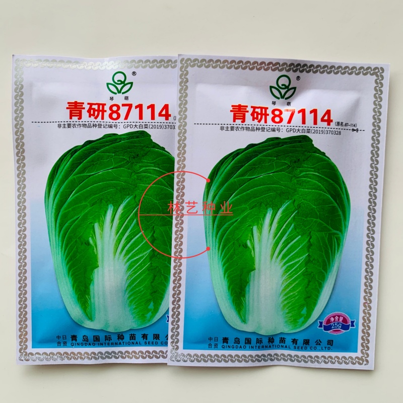 青研87114大白菜种子抗病性强耐储藏风味优良原装正品