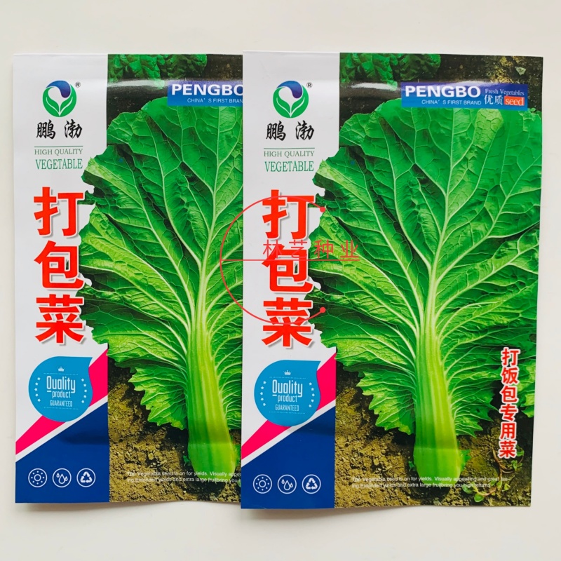 打包菜种子饭包白菜叶种孑打包白菜东北大叶白菜籽播蔬菜