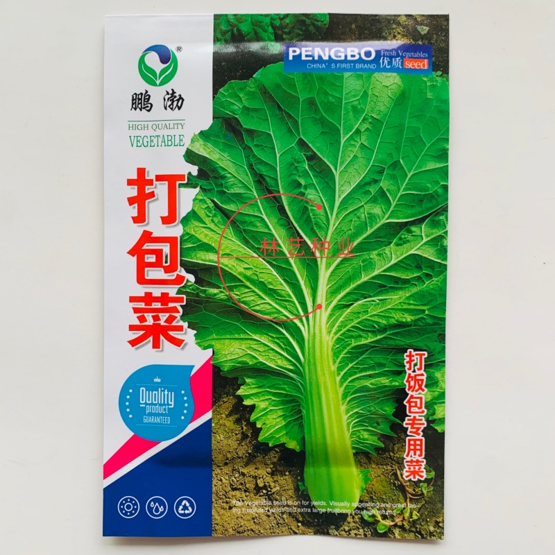 打包菜种子饭包白菜叶种孑打包白菜东北大叶白菜籽播蔬菜