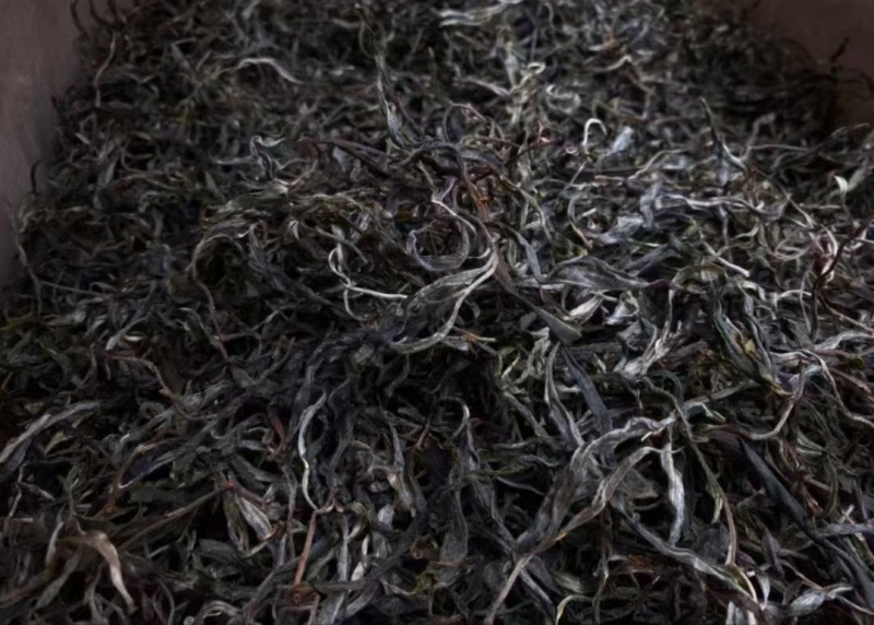 普洱茶，生态放养式无农残，环境优良。汤鲜味美