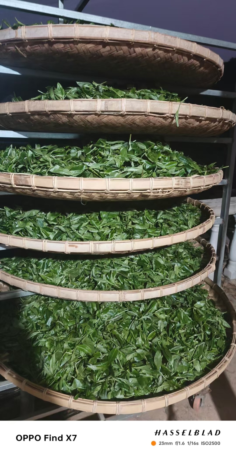 普洱茶，生态放养式无农残，环境优良。汤鲜味美