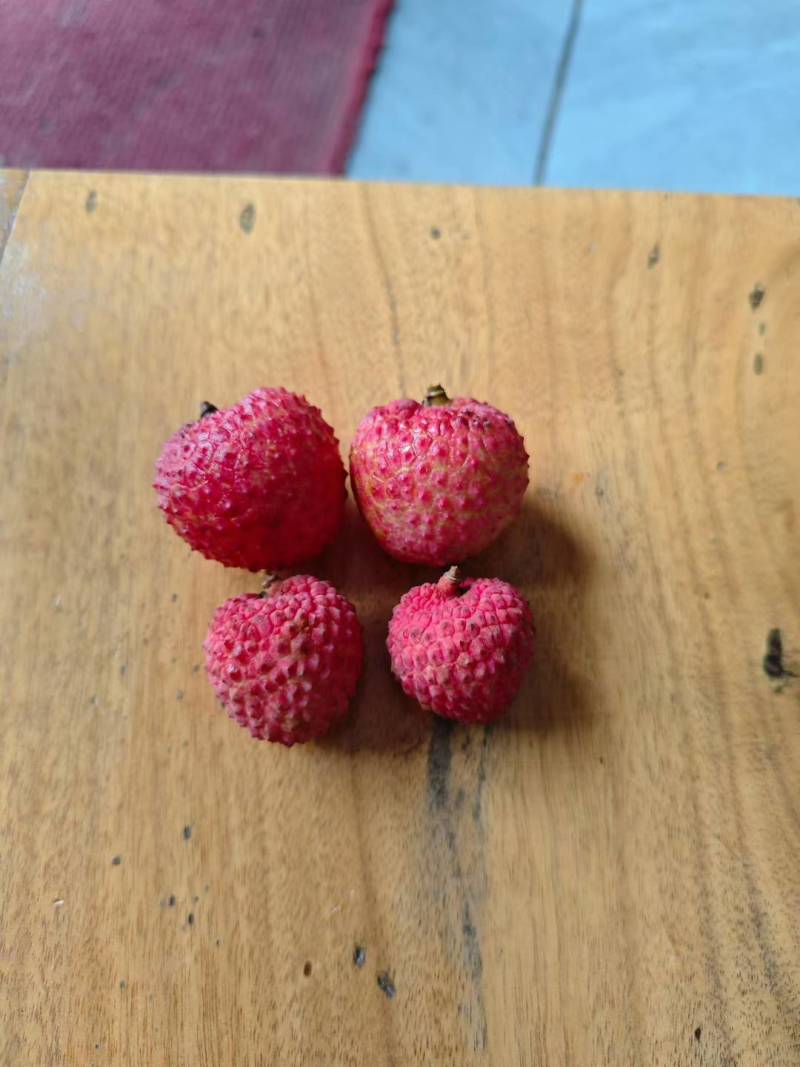 广西桂平荔枝桂味情人荔禾荔仙进奉一件代发