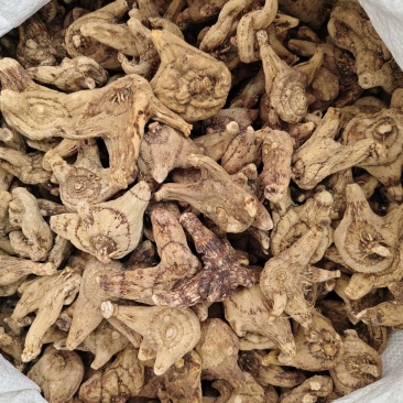 白芨中药材白芨规格齐全批发零售