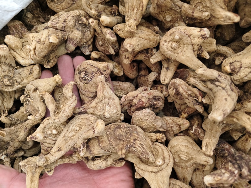 白芨中药材白芨规格齐全批发零售