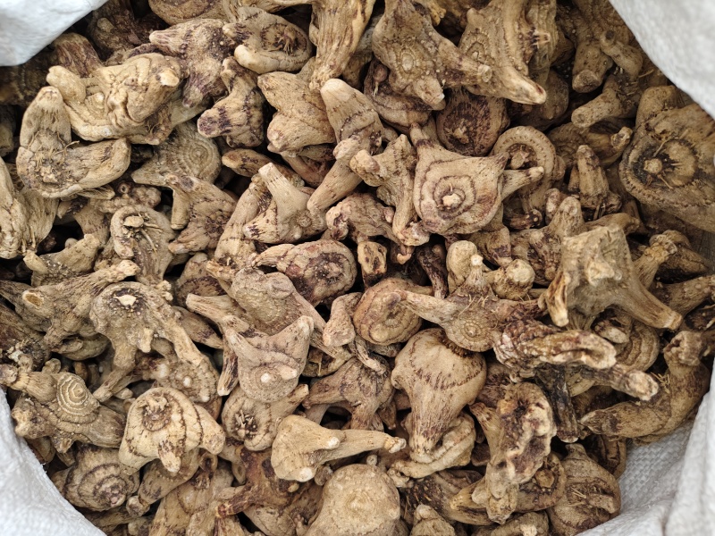 白芨中药材白芨规格齐全批发零售