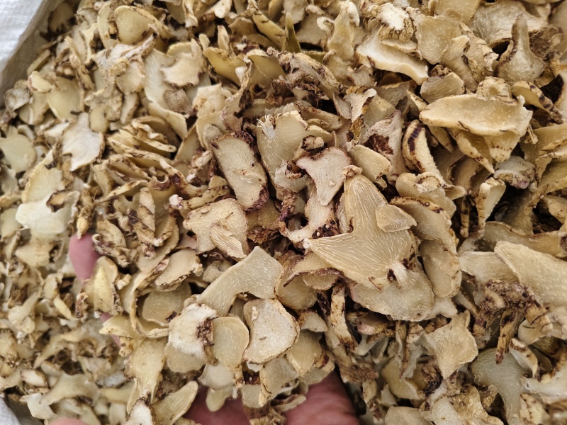白芨中药材白芨规格齐全批发零售
