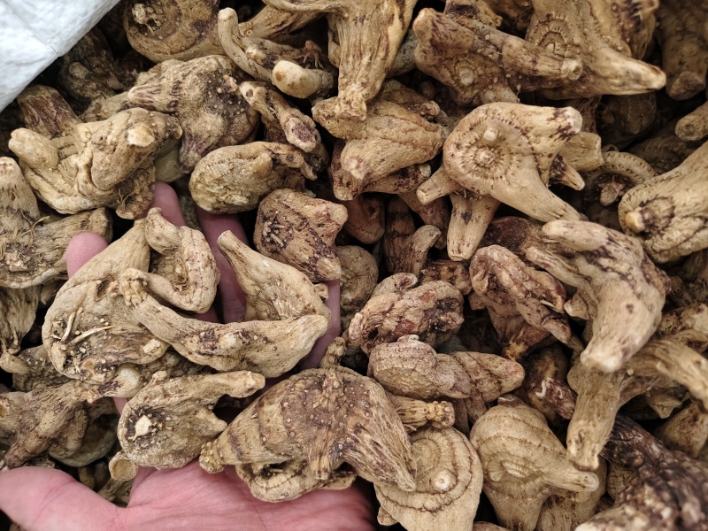 白芨中药材白芨规格齐全批发零售