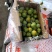 陕西清夏脱骨脆李，已成熟需要的联系了...