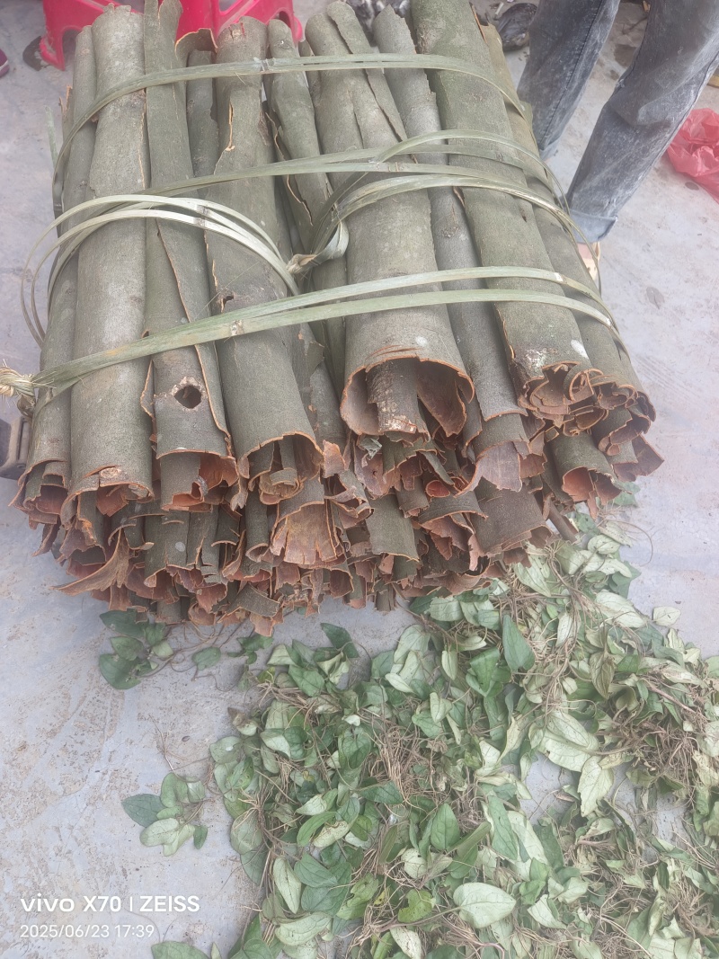 桂皮香桂，地产直发，有需要的老板欢迎下单